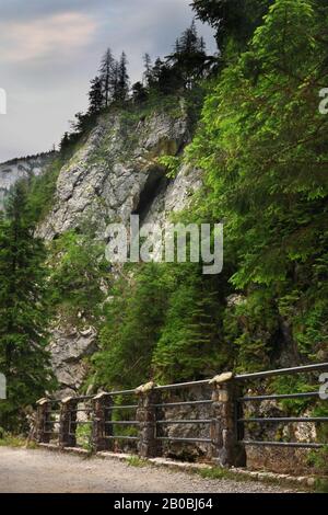 Tal Dolina Koscieliska in Polen Stockfoto