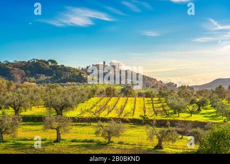 Casale Marittimo Dorf, Olivenbäume und Weinberge, Landschaft in der Maremma. Pisa Toskana, Italien Europa. Stockfoto