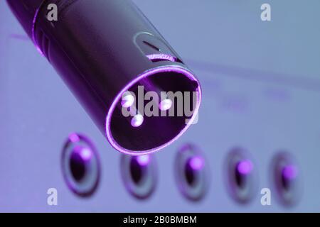 Schwarzer XLR-Stecker, 3-poliger Stecker, der über dem Audiogerät mit Klinkenbuchsen hängt. Musik, Audio, Hi-Fi, Konnektivität und Tonwiedergabe. Stockfoto