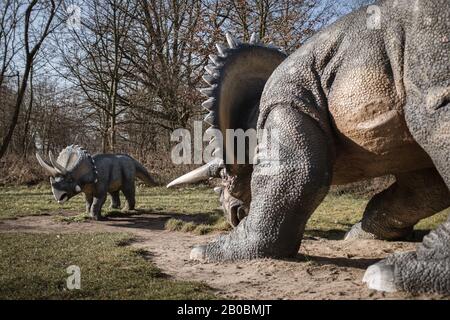 Lubin, POLEN - 8. FEBRUAR 2020 - Realistisches Modell der Dinosaurier-Trikeratops im Park Wroclawski. Park ist eine bekannte Touristenattraktion für Kinder in t Stockfoto