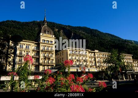 SCHWEIZ, INTERLAKEN, GRAND HOTEL VICTORIA JUNGFRAU, BLUMEN IM VORDERGRUND Stockfoto