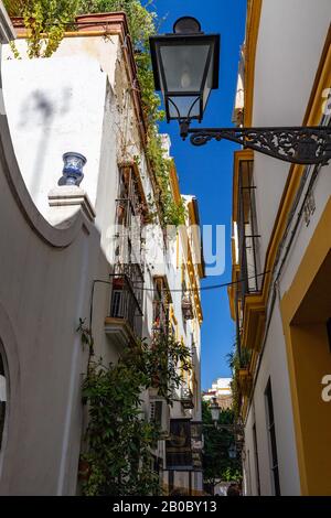 Enge Gasse in der Altstadt von Sevilla, Andalucia, Spanien. Stockfoto