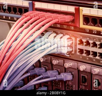 Netzwerkkabel in Switch und Firewall im Cloud Computing Data Center-Server-Rack Stockfoto