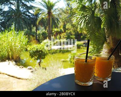Zwei Orangensaftgläser auf dem Tisch. Abstraktes Foto: Sommerurlaub. Stockfoto