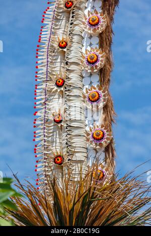 Details zu Penjor - Straße mit Strohpfosten für die Galungan-Feier, Bali Island, Indonesien. Vertikales Bild. Stockfoto