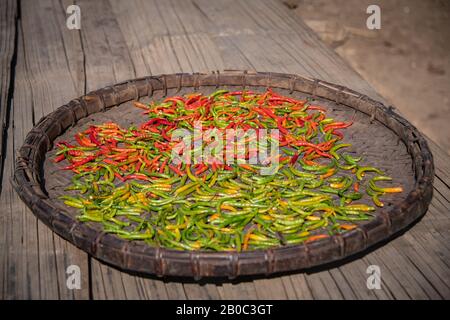 Rote und grüne Paprika trocknen in einem Bambuskorb. Stockfoto