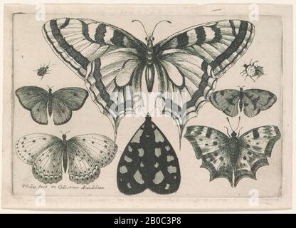 Wenceslaus Hollar, Fünf Schmetterlinge, ein Moth und Zwei Käfer, 1646, Radierung auf cremefarbenem Papier, 3 1/2 Zoll x 5 1/16 Zoll (8,89 cm x 12,86 cm Stockfoto