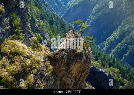 Alpenlandschaft, Saviese, Schweiz. Grüne bewaldete Hänge mit Felsvorsprung. Stockfoto