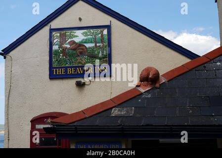 Das Old Beaver Inn in Appedore füllte sich einst nur mit Fischern & Boatyard-Arbeitern auf dem South West Coast Path, North Devon. Stockfoto