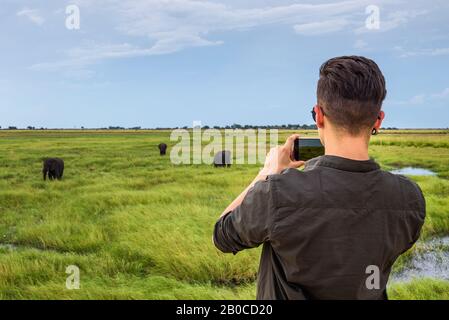 Tourist verfilmt Elefanten mit einem Smartphone im Chobe National Park, Botswana Stockfoto