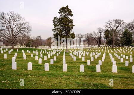 ARLINGTON-FRIEDHOF, WASH D.C. - 31. JANUAR 2020: Nationalfriedhof Arlington am 31. Januar 2020 in Washington D.C. Stockfoto