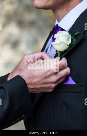 Ein Bräutigam bester Mann befestigt eine einfache Blume an dem Bräutigam Revers oder Knopfloch, einem Boutonniere, vor seiner Hochzeit. Die Blume ist eine weiße Rose Stockfoto