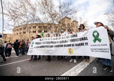 Granada, Andalusien, Spanien. 19. Februar 2020: Demonstration von Landwirten, die gegen unlautere Preise von Agrarprodukten protestieren, in der Nähe der Stierkampfarena Stockfoto