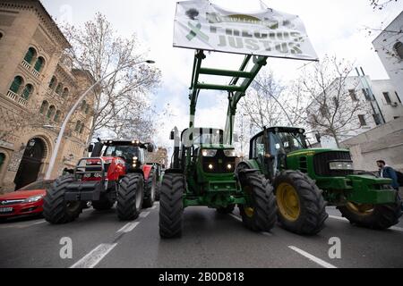 Granada, Andalusien, Spanien. 19. Februar 2020: Demonstration von Landwirten, die gegen unlautere Preise von Agrarprodukten protestieren, in der Nähe der Stierkampfarena Stockfoto