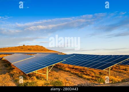 Solarpanel-Farm bei Sonnenuntergang in South Australia Stockfoto