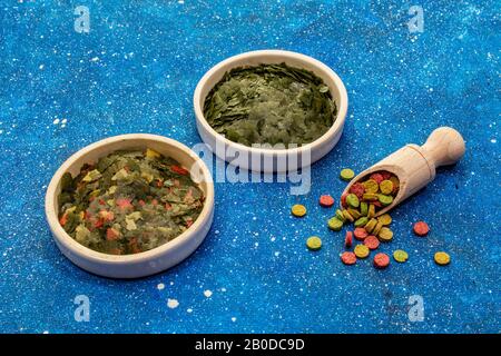 Verschiedene Arten von Lebensmitteln für Aquarienfische. Flocken, Spirulina, Pillen, Mischung. Marineblau Seehintergrund, Kopierraum Stockfoto