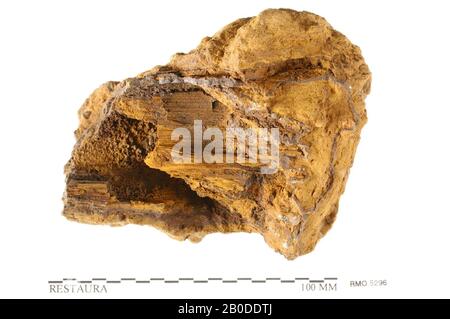 Teil des Schachtes, Bootshaken, Holzreste, Teil des Schachtes, Bootshaken, Holzreste, Eisen, 9,5 x 7,5 cm, x, Niederlande, Utrechter, Wijk bij Duurstede, Wijk bij Duurstede, Dorestad Stockfoto