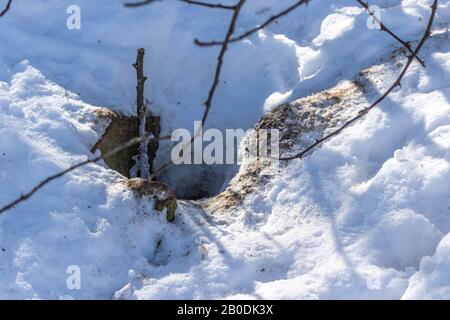 Fuchs-Loch in verschneiten Felsen. Naturszene aus Wisconsin. Stockfoto