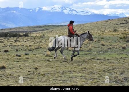 Ein patagonischer Huaso oder Gaucho reitet mit seinem Pferd vor dem Hintergrund der schneebedeckten Andenberge im Torres del Paine National Park, Chile. Stockfoto