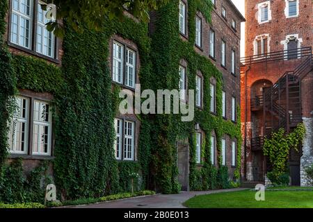 Ziegelbau mit Efeustein im Wawelschloss Krakau-Polen bedeckt. Grüne Wand und Gebäude. Stockfoto