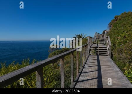 The Federation Cliff Walk, Dover Heights, Sydney. Es ist ein 5 km langer Clifftop-Spaziergang mit fantastischem Blick auf den Pazifischen Ozean von Dover Heights nach Stockfoto