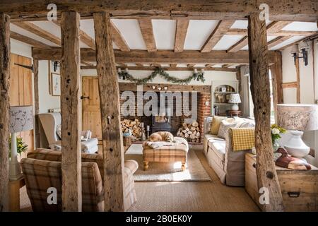 Border Terrier auf der ottomane mit Sofa in der Villa Nova Cambay. Stockfoto