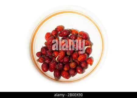 Getrocknete rote reife Rosehupffrucht Stockfoto