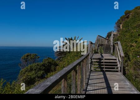 The Federation Cliff Walk, Dover Heights, Sydney. Es ist ein 5 km langer Clifftop-Spaziergang mit fantastischem Blick auf den Pazifischen Ozean von Dover Heights nach Stockfoto