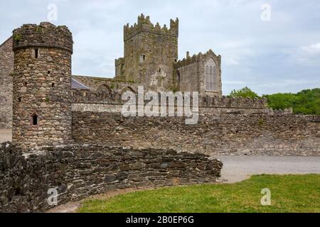 Tintern Abbey - die Ruinen einer zisterziensischen Abtei auf der Halbinsel Hook, County Wexford, Republik Irland. Stockfoto