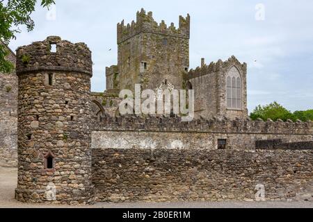 Tintern Abbey - die Ruinen einer zisterziensischen Abtei auf der Halbinsel Hook, County Wexford, Republik Irland. Stockfoto