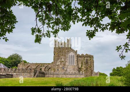 Tintern Abbey - die Ruinen einer zisterziensischen Abtei auf der Halbinsel Hook, County Wexford, Republik Irland. Stockfoto