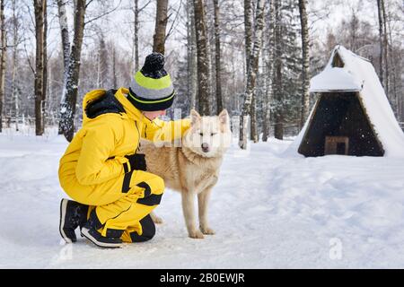 Junge Frau kommuniziert mit einem Husky-Hund im Winterwald Stockfoto