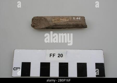 Teil eines Fischteichs oder Fischspießes, Fragment, modifiziertes Bein, organisch, Knochen, 6,9 x 1,5 x 1,3 cm, Frankreich, unbekannt, Dordogne Stockfoto