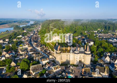 Frankreich, Indre et Loire, regionaler Naturpark der Loire-Touraine, Loire-Tal, das von der UNESCO, Langeais, der Stadt, dem Fluss und der Region t zum Weltkulturerbe ernannt wurde Stockfoto