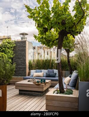 Gartendesign von Adolfo Harrison auf der Dachterrasse des West London Apartments Stockfoto