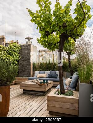 Gartendesign von Adolfo Harrison auf der Dachterrasse des West London Apartments Stockfoto