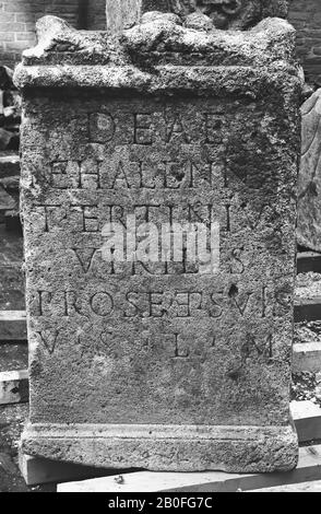 Altar. Kalksteine. Rechts und links: Baum. Rückseite undekoriert. Auf 5 weiteren Früchten (ursprünglich 6 oder 7), Altar, Stein, Kalkstein, 63 x 37,5 x 15 cm, 78 kg, roman 150-250, Niederlande, Zeeland, Noord-Beveland, Colijnsplaat, Oosterschelde Stockfoto