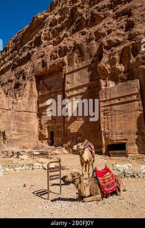 Zwei Kamele warten am Camel Riding Point an der Scenery Street von Fassaden unter dem schönen sonnigen Tag im Petra Ancient Religious Complex und Touristenattraktion, Haschemite Königreich Jordanien Stockfoto