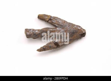 Drei Pfeilspitzen? Es ist nur eine verfügbar. Eiserne Pfeilspitze mit zwei Widerhaken und Stirnwelle, Pfeilspitze, Metall, Eisen, 4,9 x 3 cm, vmeb 450-525, Niederlande, Utrechter, Rhenen, Rhenen, Grab 774 Stockfoto