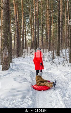 Der Junge rollt das Mädchen, kleine Schwester auf einer aufblasbaren Schneeröhre im Winterwald. Spazieren Sie mit der Familie Stockfoto