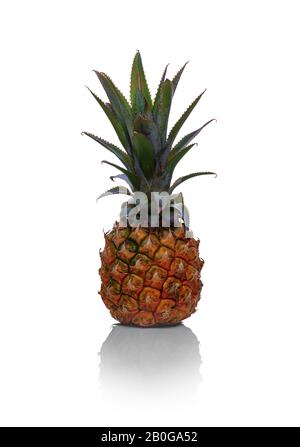 Nahaufnahme des Babys reife orange und gelbe Ananas mit bläulich grünen natürlichen Blättern und mit ihrem natürlichen Schatten isoliert auf weißem Backgr
