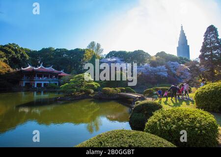 31. März 2015 Tokyo Japan Feiert Sakura-Urlaub (Kirschblüte) in Shinjuku Gyoen. Tokio. Familie spielt mit Kindern, Die Sitzen und Stockfoto