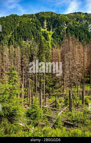 Panoramablick auf Den Sieben Gratskamm - Siedem Granatow - in der Zabia Gran Range über das Rybi Potok Valley in den Tatra Mountains, in der Nähe von Zakopane, Polen Stockfoto