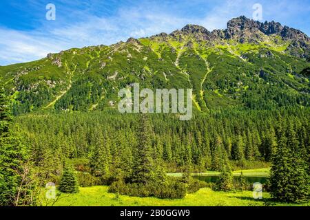 Panoramablick auf Den Sieben Gratskamm - Siedem Granatow - in der Zabia Gran Range über das Rybi Potok Valley in den Tatra Mountains, in der Nähe von Zakopane, Polen Stockfoto