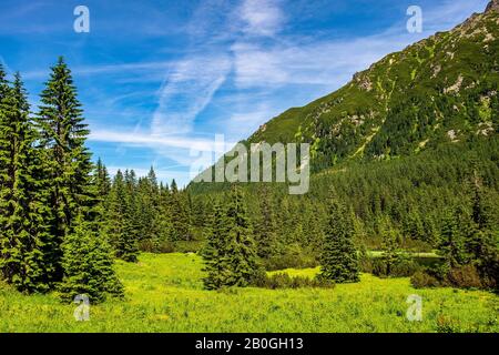 Panoramablick auf Den Sieben Gratskamm - Siedem Granatow - in der Zabia Gran Range über das Rybi Potok Valley in den Tatra Mountains, in der Nähe von Zakopane, Polen Stockfoto