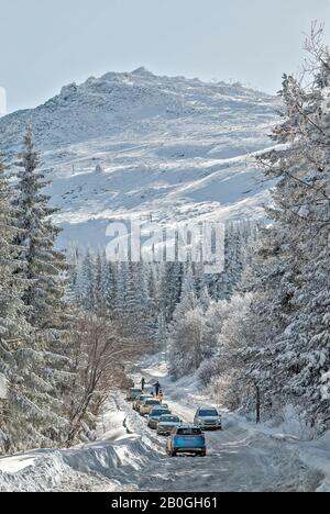 Winter auf dem Berg Vitosha;Bulgarien; Stockfoto