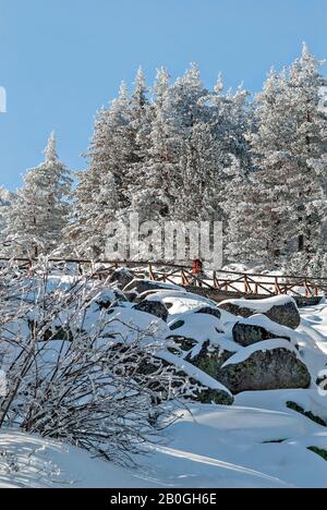 Winter in den Bergen;Berg Vitosha;Bulgarien; Stockfoto