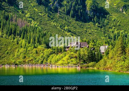 Panoramablick auf den Morskie Oko Bergsee rund um Lärche, Kiefer und Fichte mit Schronisko Przy Morskim Oku Schutzhaus im Hintergrund Stockfoto