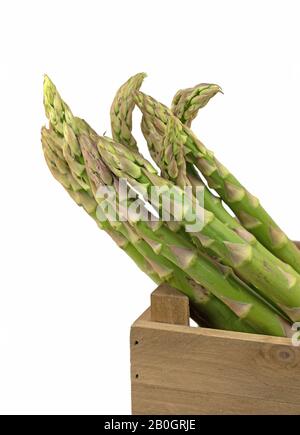 Frischer Spargel vor weißem Hintergrund Stockfoto