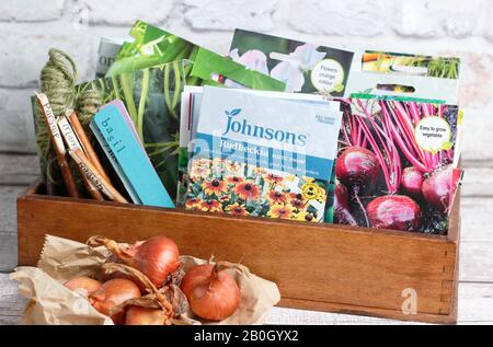 Schalotte bubt mit Blumen- und Gemüsesaatpaketen in einer Holzkiste UK Stockfoto